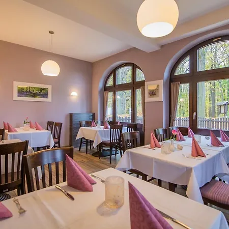Hotel Berggasthof Goetzinger Hoehe Neustadt in Sachsen