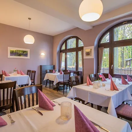 Otel Berggasthof & Goetzinger Hoehe Neustadt in Sachsen