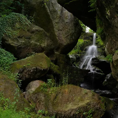 מלון Berggasthof & Goetzinger Hoehe נוישטט אן זאקסן