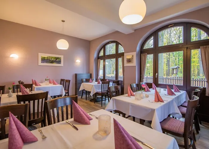 ホテル Berggasthof & Goetzinger Hoehe ノイシュタット・イン・ザクセン